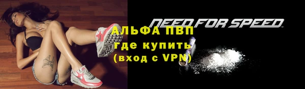крисы Володарск