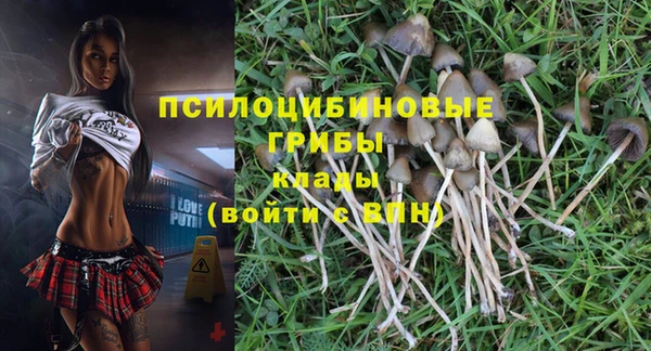 прущий лед Волосово