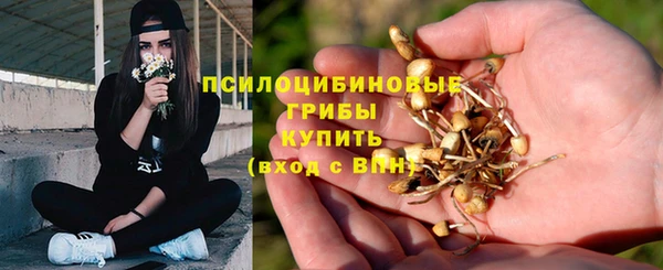 крисы Володарск