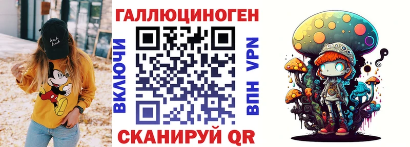 Псилоцибиновые грибы Psilocybine cubensis Новохопёрск